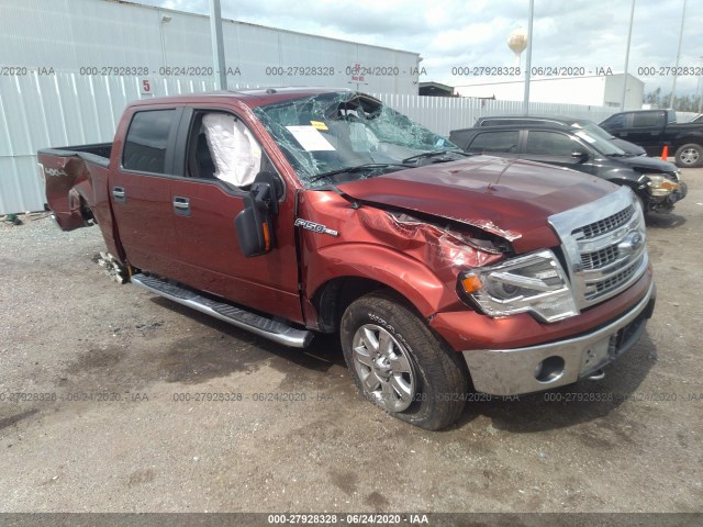 FORD F-150 2014 1ftfw1ef9ekd29819