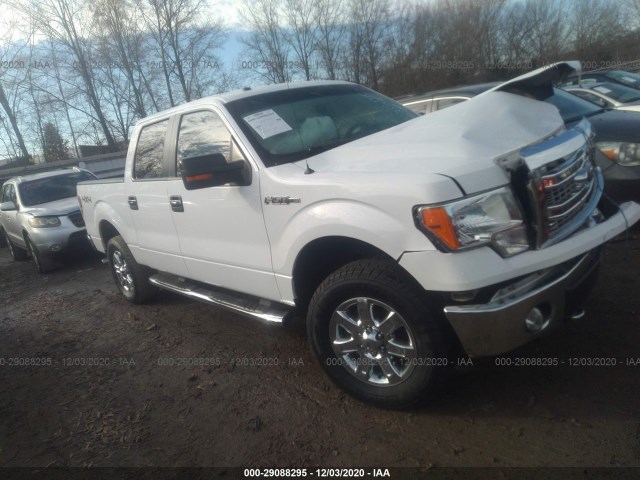 FORD F-150 2014 1ftfw1ef9ekf73955