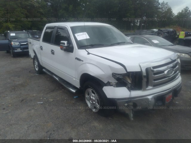 FORD F-150 2011 1ftfw1efxbfc39504