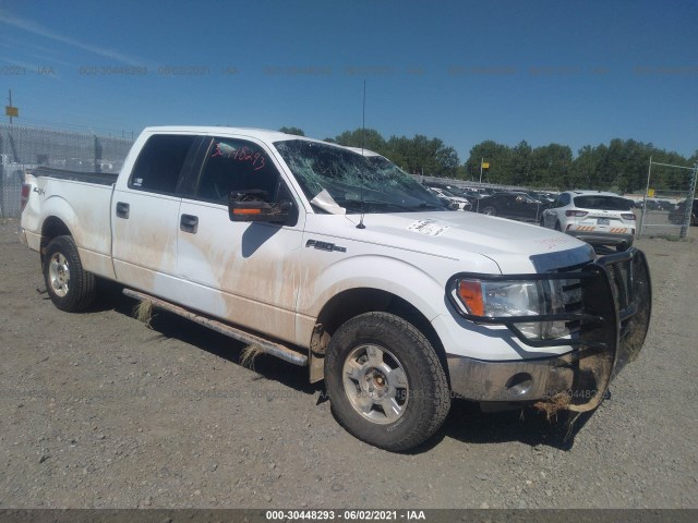 FORD F-150 2012 1ftfw1efxcfb09871