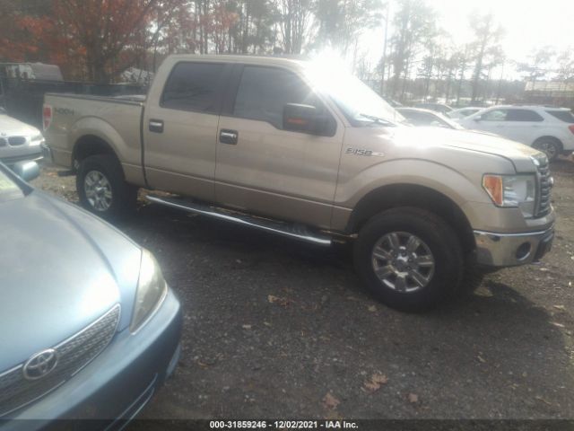 FORD F-150 2012 1ftfw1efxcfb50761