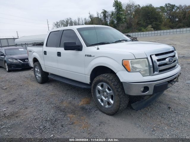 FORD F-150 2012 1ftfw1efxcfb96171