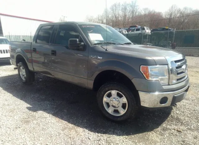 FORD F-150 2012 1ftfw1efxckd44374