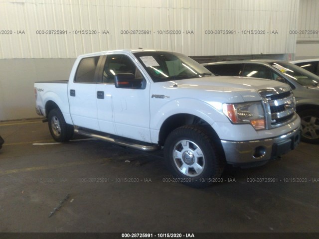 FORD F-150 2013 1ftfw1efxdfa19783