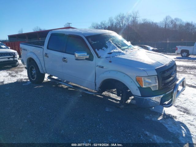 FORD F-150 2013 1ftfw1efxdfb08088