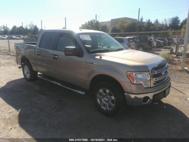 FORD F-150 2013 1ftfw1efxdfb09371