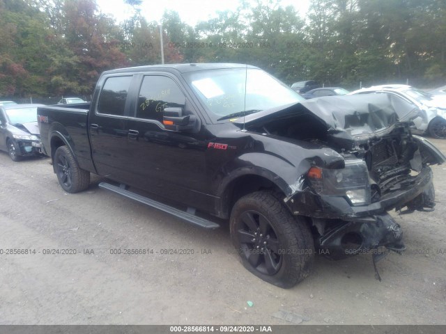 FORD F-150 2013 1ftfw1efxdfb33427