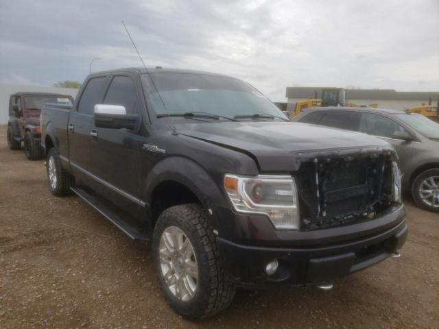 FORD F150 SUPER 2013 1ftfw1efxdfb60840