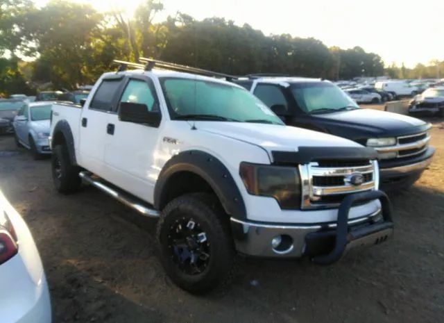 FORD F-150 2013 1ftfw1efxdfb61020