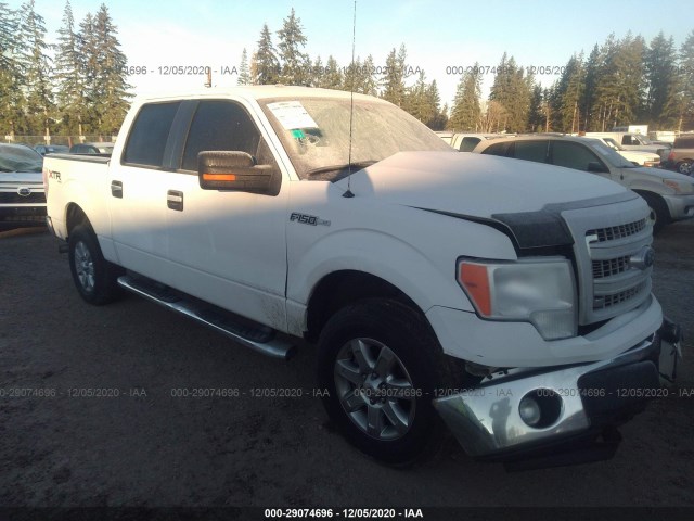 FORD F-150 2013 1ftfw1efxdfb70817