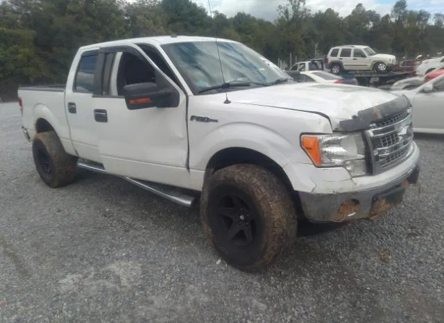 FORD F-150 2013 1ftfw1efxdfd09859