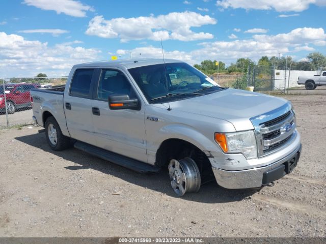 FORD F-150 2013 1ftfw1efxdfd27939