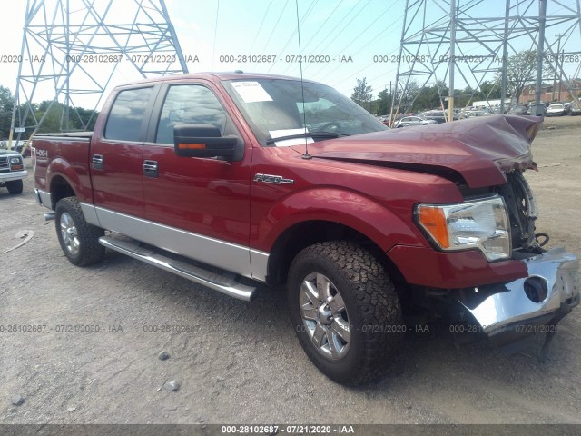 FORD F-150 2013 1ftfw1efxdfd74226