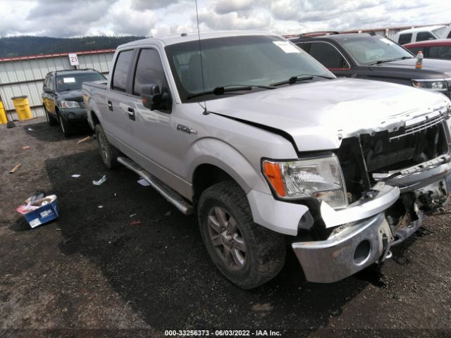 FORD F-150 2013 1ftfw1efxdfd84626