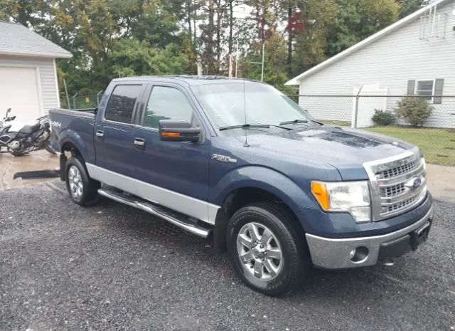 FORD F-150 2013 1ftfw1efxdfd98624