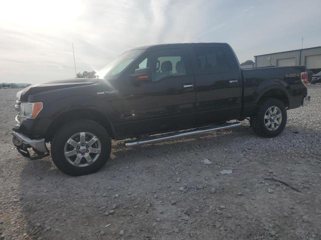 FORD F-150 2013 1ftfw1efxdfe00825