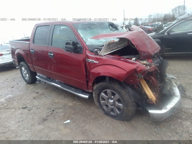 FORD F-150 2013 1ftfw1efxdkd14793