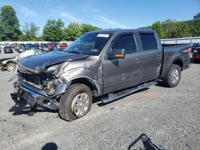 FORD F-150 2013 1ftfw1efxdkd22649