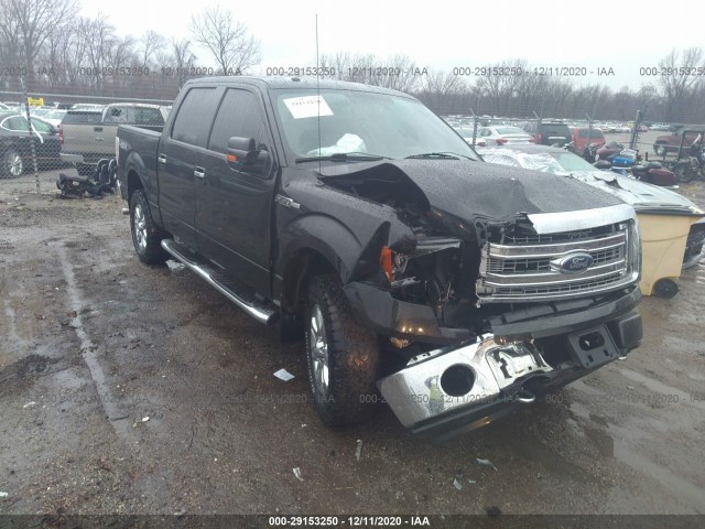 FORD F-150 2013 1ftfw1efxdkd54453