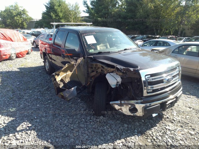 FORD F-150 2013 1ftfw1efxdkf16243