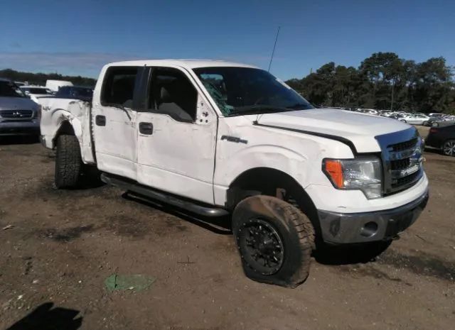 FORD F-150 2013 1ftfw1efxdkf73123