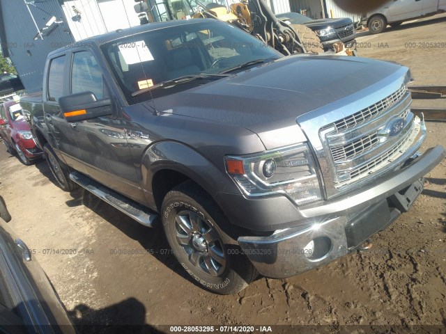 FORD F-150 2014 1ftfw1efxefa09675