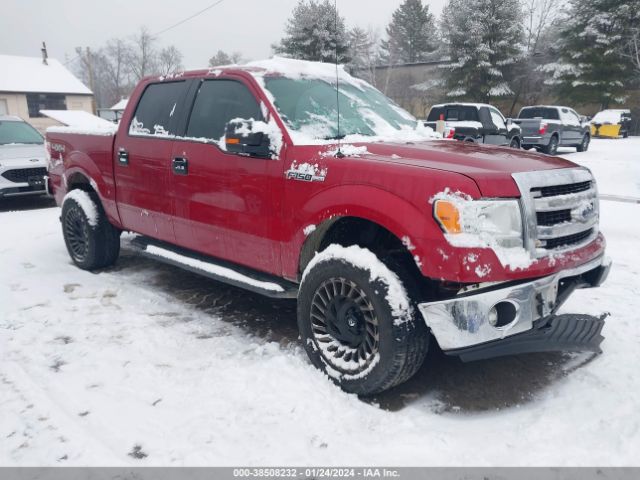 FORD F-150 2014 1ftfw1efxefc16986