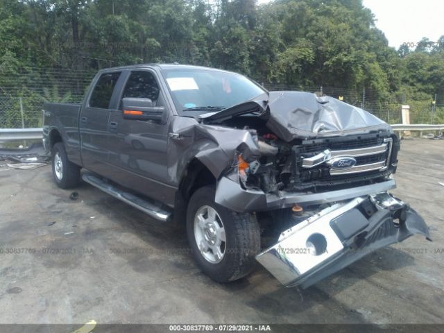 FORD F-150 2014 1ftfw1efxefd00094