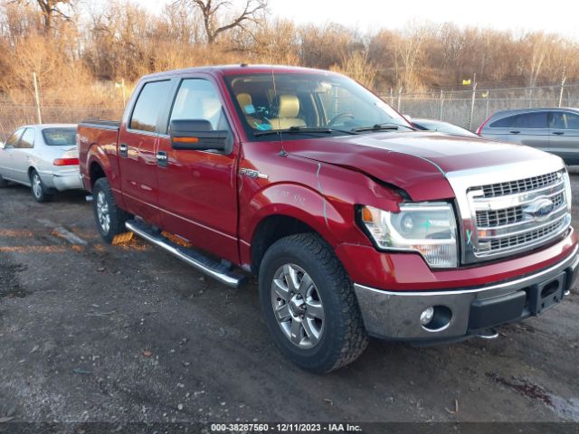 FORD F-150 2014 1ftfw1efxefd06008