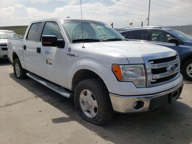 FORD F150 SUPER 2014 1ftfw1efxefd10575