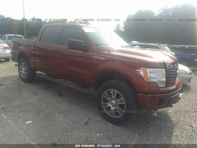 FORD F-150 2014 1ftfw1efxekd08753