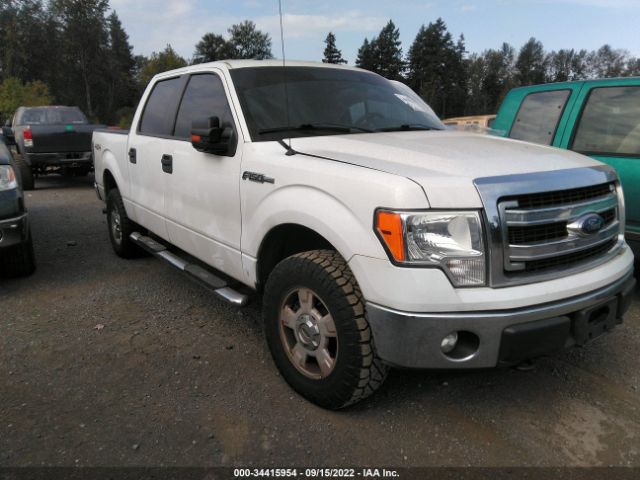 FORD F-150 2014 1ftfw1efxeke44154