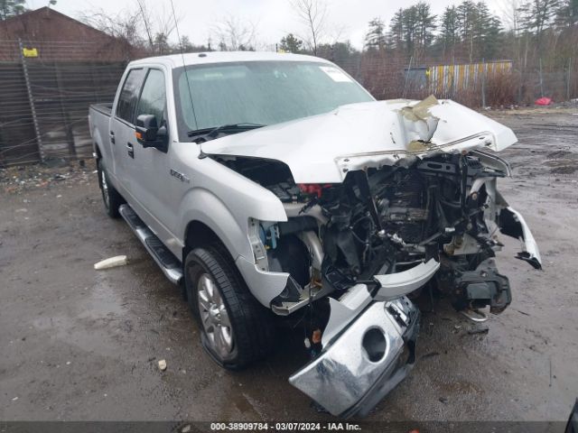 FORD F-150 2014 1ftfw1efxekf98816