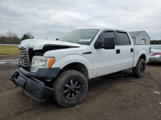 FORD F-150 2014 1ftfw1efxekg09295