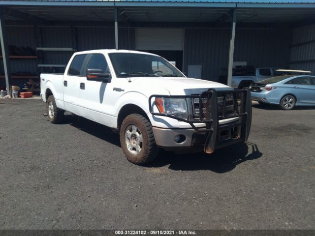 FORD F-150 2014 1ftfw1efxekg53412