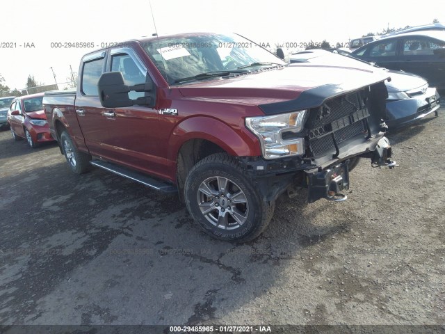 FORD F-150 2015 1ftfw1efxffb42857