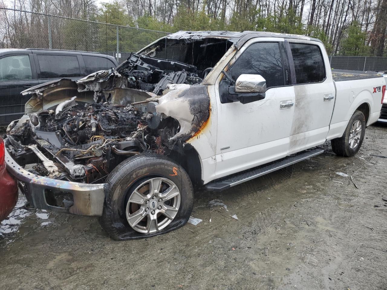 FORD F-150 2015 1ftfw1eg1ffb84391