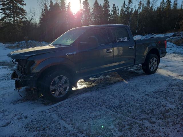 FORD F-150 2017 1ftfw1eg1hfc68052