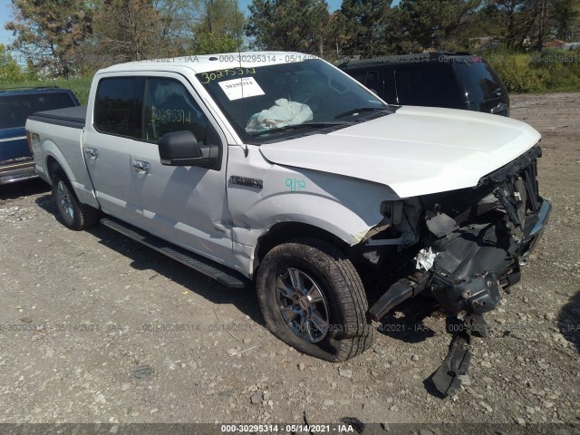 FORD F-150 2015 1ftfw1eg2ffa63241