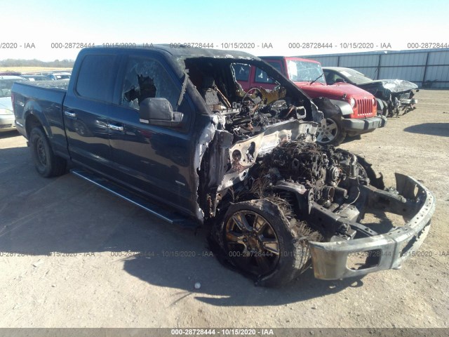 FORD F-150 2015 1ftfw1eg5fkd42268