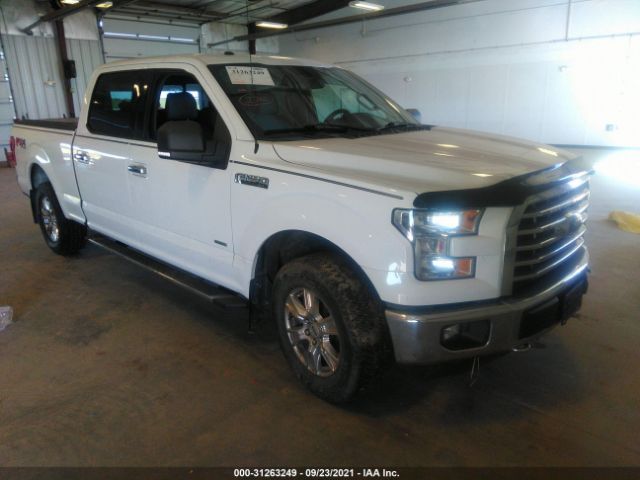 FORD F-150 2015 1ftfw1egxfke44648