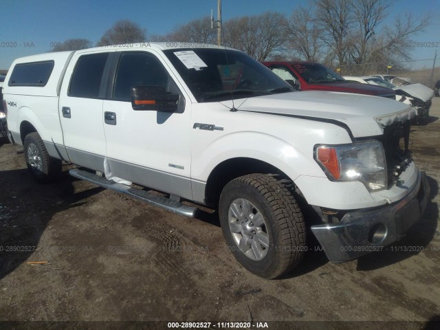 FORD F-150 2011 1ftfw1et0bfc91827