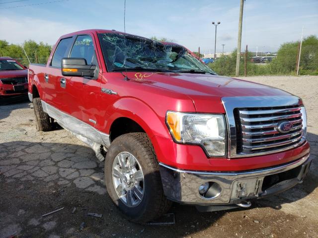 FORD F150 SUPER 2011 1ftfw1et0bfd06519