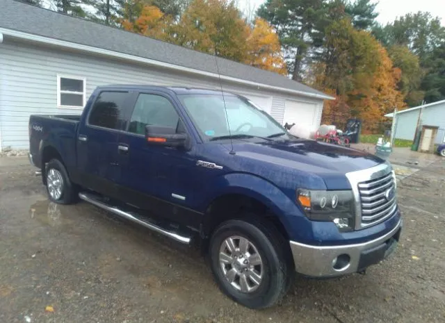 FORD F-150 2011 1ftfw1et0bfd07573