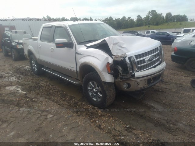 FORD F-150 2011 1ftfw1et0bfd21862