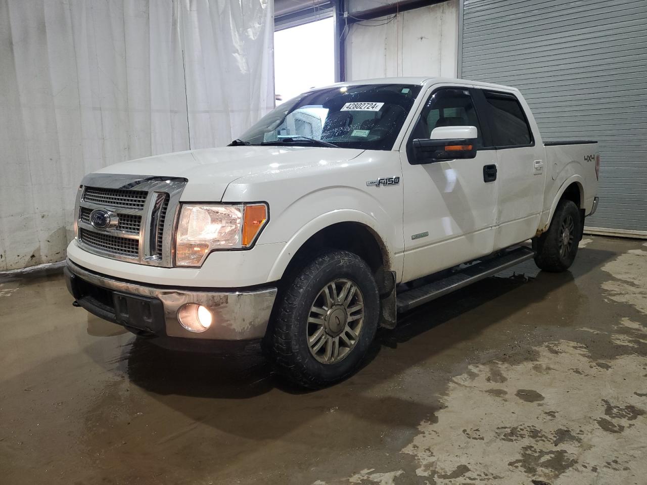 FORD F-150 2011 1ftfw1et0bfd37477