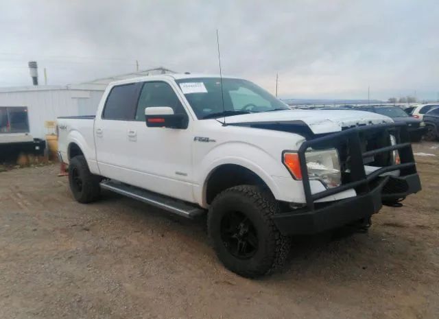 FORD F-150 2011 1ftfw1et0bkd65240