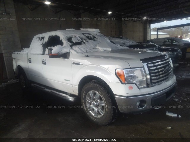 FORD F-150 2012 1ftfw1et0cfa51954