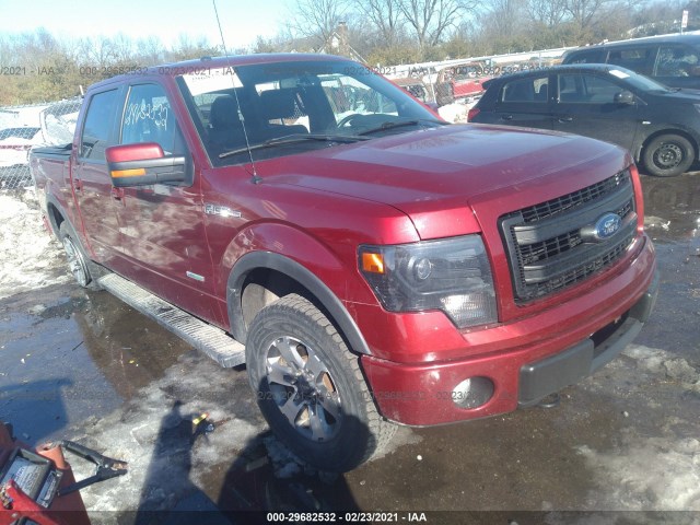 FORD F-150 2013 1ftfw1et0dfa36498