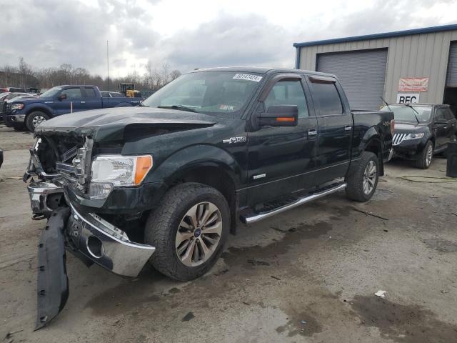 FORD F-150 2013 1ftfw1et0dfa49817